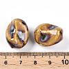 Handmade Porcelain Beads PORC-N008-06L-3