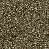TOHO Round Seed Beads SEED-JPTR15-0998-2