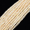 Natural Cultured Freshwater Pearl Beads Strands X-PEAR-L001-C-14-1