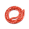 Natural Freshwater Shell Beads Strands X-SHEL-N003-33-A06-2