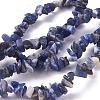 Natural Sodalite Beads Strands LS-G-G782-31-1