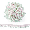 10Yards Polyester Lace Ribbon OCOR-TA0004-26C-1