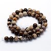 Natural Zebra Jasper Beads Strands G-I199-10-6mm-2