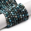 Natural Apatite Beads Strands G-A276-C08-4mm-01-2