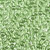 FGB Transparent Glass Seed Beads SEED-N013-01A-07-3