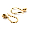 316 Surgical Stainless Steel Earring Hooks STAS-G310-02G-2