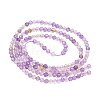 Natural Ametrine Beads Strands G-K407-A01-2mm-3