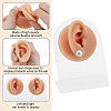 2 Sets 2 Styles Soft Silicone Ear Displays Mould ODIS-HY0001-04B-3