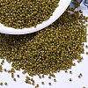MIYUKI Delica Beads SEED-X0054-DB2141-1