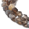 Natural Botswana Agate Beads Strands G-NH0002-C01-01-4