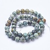 Dyed & Natural African Turquoise(Jasper) Beads Strands G-D855-06-8mm-2