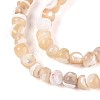 Natural Trochid Shell/Trochus Shell Beads Strands SSHEL-N040-10-3