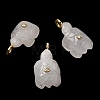 Natural Quartz Crystal Carved Pendants G-H357-03G-14-1