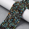Natural Turquoise Beads Strands G-G195-A01-02-1