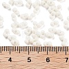 Baking Paint Glass Seed Beads X1-SEED-A033-05D-4