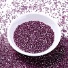 MIYUKI Delica Beads SEED-MY11-DB1880-2