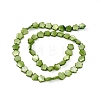 Natural Freshwater Shell Dyed Beads Strands SHEL-K001-001G-3