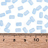 FGB Frosted Transparent Glass Seed Beads SEED-N013-05A-11-4