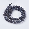 Natural Larvikite Beads Strands G-G542-8mm-27-2