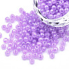 6/0 Imitation Jade Glass Seed Beads SEED-N004-006-03-1