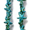 Synthetic Turquoise Dyed Beads Strands G-P507-04S-1