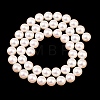 Electroplated Shell Pearl Beads Strands BSHE-C011-01B-2