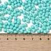 6/0 Opaque Baking Paint Glass Seed Beads SEED-M012-02A-01-4