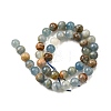 Natural Blue Calcite Beads Strands G-H312-C02-10mm-3