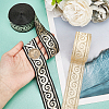 2 Bundles 2 Colors Ethnic Style Embroidery Polyester Ribbons OCOR-BC0005-11-3