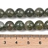 Natural Green Rutilated Quartz Beads Strands GG-CBAC4F6-B01-8mm-C-4