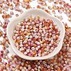 Baking Painted Glass Seed Beads SEED-C004-03I-2