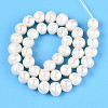 Natural Cultured Freshwater Pearl Beads Strands PEAR-N013-10D-01-2