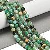 Natural Green Line Jasper  Beads Strands X-G-B128-A03-02-2