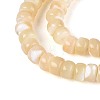 Natural Trochid Shell/Trochus Shell Beads Strands BSHE-T014-54B-3