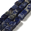 Natural Sodalite Beads Strands G-B078-K01-01-1