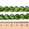 Handmade Lampwork Beads Strands LAMP-T021-26G-4