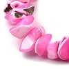 Natural Trochid Shell/Trochus Shell Beads Strands SHEL-B003-02E-3