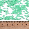 Opaque Acrylic Beads SACR-A007-01B-23-4