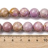 Natural Lepidolite/Purple Mica Stone Beads Strands G-K401-A01-12mm-5