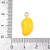 Fruit Alloy Enamel Pendants ENAM-P264-02I-G-4