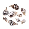 Electroplate Natural Spiral Shell Pendants SSHEL-Q100-44G-1