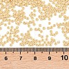 MIYUKI Round Rocailles Beads X-SEED-G007-RR0493-3