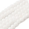 Natural Malaysia Jade Bead Strands LS-G-M101-10mm-10-1