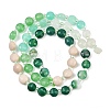 Natural Agate Dyed White Jade & Fossil Beads Strands G-Z135-B02-4