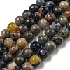 Natural Sodalite Beads Strands G-F591-13-1