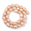 Natural Cultured Freshwater Pearl Beads Strands PEAR-P064-20L-04B-3