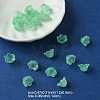 Glass Beads GLAA-YW0003-37F-2