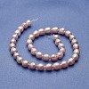 Natural Cultured Freshwater Pearl Beads Strands PEAR-P060-28A-01-2