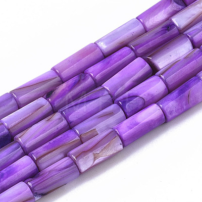 Natural Freshwater Shell Beads X-SHEL-R047-01C-1