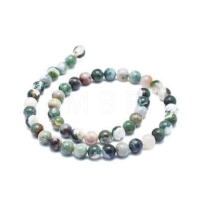 Natural Tree Agate Beads Strands G-F674-11-8mm-1